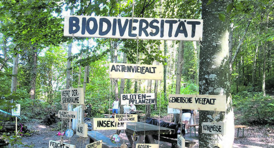 Wissen vor Ort: Die Ranger haben an «ihrem» Tag schon viel für interessierte Bürgerinnen und Bürger zusammengestellt. (Bild: zVg)