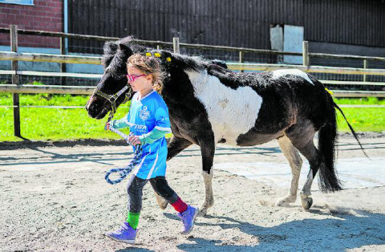 Selbstvertrauen: Der Umgang mit den Ponys macht nicht nur Spass. Die Kinder lernen vieles, das sie auch im Alltag brauchen können. (Bild: zVg)