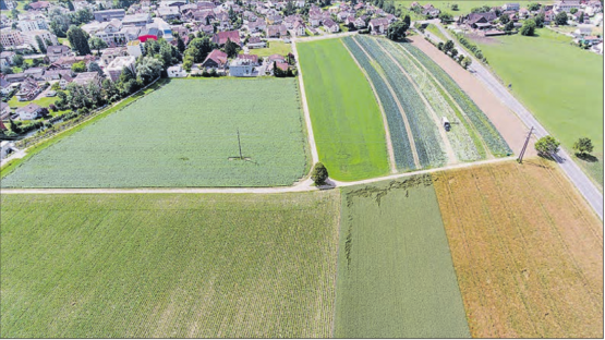 Per Gemeindeinitiative soll der Gemeinderat verpflichtet werden «die erforderlichen Massnahmen zu treffen, um die Hegmatte vollumfänglich in ihrem Aussehen und ihrer Eigenart zu erhalten und die Landschaft zu schützen.» (Bild: zVg.)