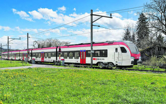 Verstärkung: Elf neue Triebzüge sollen ab Dezember 2029 auf der Seetallinie zum Einsatz kommen. (Bild: zVg.)