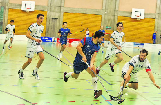 Drei wertvolle Punkte erkämpft: Lok Reinach gewann trotz vieler geschwächter oder kranker Spieler gegen Regazzi Verbano UH Gordola mit 9:7. (Bild: Roland Jaus)