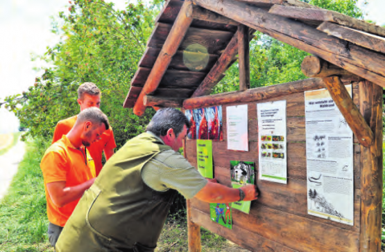 «Passt das hier?» Der Gesamteindruck muss stimmen, das Erscheinungsbild der Waldinfos soll eine Gattung machen!