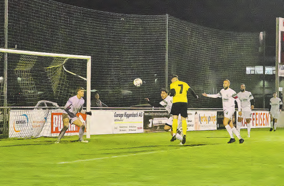 Vermeintlicher Ausgleich zum zwischenzeitlichen 1:1. Der Treffer von Farro (Nr. 7) wurde wegen vorangegangenen Fouls aberkannt. (Bild: Roland Jaus)