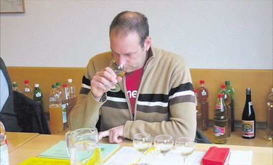 Aargauer Süssmost ist fabelhaft: Insgesamt 59 Obstsäfte wurden am Landwirtschaftlichen Zentrum Liebegg in Gränichen von der Fachjury beurteilt. (Bild: zVg.)