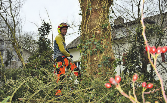 Die harte Arbeit ist getan: Leon Gsell spürt nach grossen Strapazen den festen Boden wieder unter seinen Füssen. (Bilder: st.)