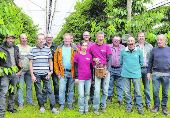Kirschenqualitätswettbewerb-Preisverleihung mit den Produzenten: Den ersten Preis gewannen Urs und Fränzi Baur aus Egliswil (Bildmitte). (Bild: zVg.)
