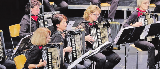 Verband Akkordeon Schweiz: An der Tagung am kommenden Sonntag, 24. März im Saalbau Reinach, werden gegen zweihundert Delegierte erwartet. (Bild: zVg.)