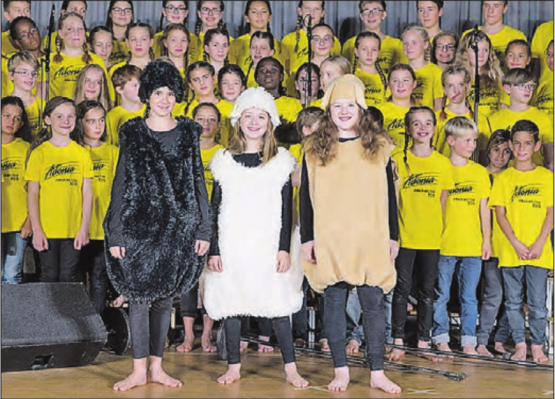 Auftritte in Egliswil und Reinach: Der Junior-Adonia-Chor präsentiert das Musical «David gäge Goliat». (Bild: zVg.)