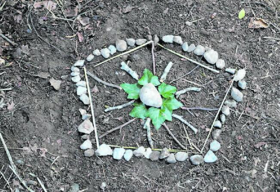 Kreativität während der Ferienplausch: Die Kinder gestalteten Waldbilder mit Material, das sie in der Natur finden konnten. (Bild: zVg.)