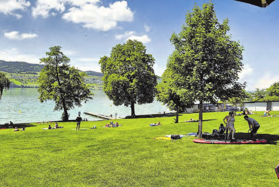 Eine von zahlreichen Perlen innerhalb der Hallwilerseelandschaft: Das Strandbad Seerose in Meisterschwanden. (Archivbild msu.)