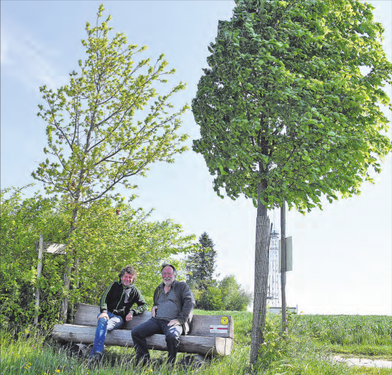 Ein «hölzernes Ehepaar» und dessen Förderer: Mit der Pflanzung einer Linde (rechts) und einer Eiche wurde das Landschaftsqualitätsprojekt des Regionalplanungsverbands aargauSüd Impuls einst lanciert, jetzt ziehen der ehemalige Grossrat Ruedi Weber (l.) und der Landschaftsarchitekt Victor Condrau Bilanz. (Bilder: mars.)