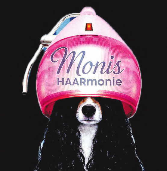 Das Maskottchen: «HAARigi Ziite» setzt die TGO speziell um. (Bild: Broschüre der TGO)