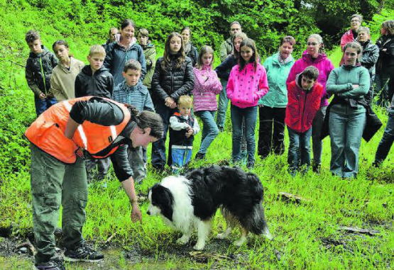 So muss es riechen: Tabea Haupt bereitet Riley auf seine Aufgabe vor, einen vom Borkenkäfer befallenen Baum zu finden. (Bilder: st.)
