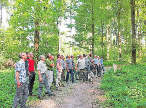Nicht fünf vor, sondern bereits fünf nach zwölf im Wald? Die Förster verfolgen die durch den Klimawandel verursachten Veränderungen im Wald mit Besorgnis. (Bild: zVg.)