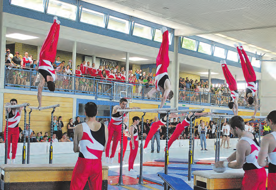 Rickenbacher am Gymday: Nach einer Aufholjagd und mit der Note 19,44 verteidigten sie den letztjährigen Barren-Siegertitel. (Bild: zVg.)
