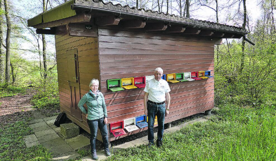 Bernadette und Felix Kellenberger vor ihrem Bienenhaus im Pfannenstil in Menziken (Bilder: René Fuchs) . Pollengürtel und Brutnestern heraus. Innerhalb eines Bienenknäuels ist die Königin. Für rund drei Jahre ist sie gleichzeitig Chefin des Staates, Mutter der Bienen, Drohnen und neuen Königinnen. Von Februar bis August legt sie ca. 300 – 2000 Eier täglich, ca. 130’000