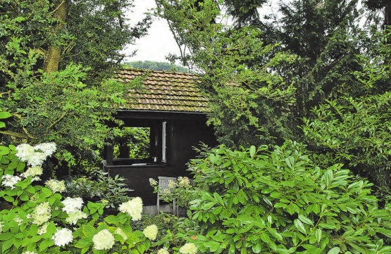Beim Gang durch den Garten: Auf den ersten Blick sah alles ganz normal aus. Keiner ahnte Schlimmes. (Bilder: st.)