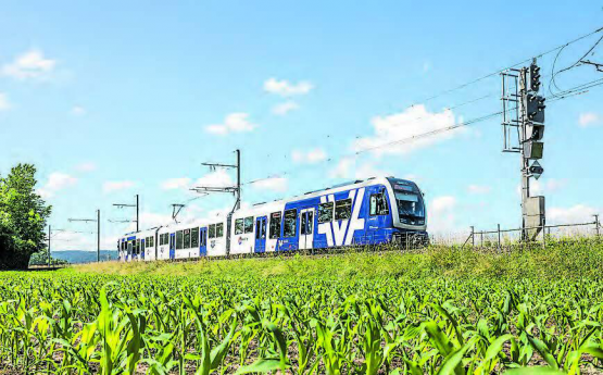 Die Wynental- und Suhrentalbahn WSB verkehrt am 27. und 28. Juli zwischen Aarau und Menziken mit Ersatzbussen.