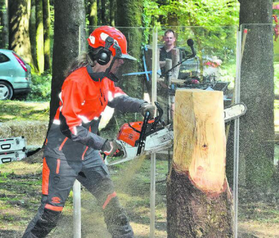 Der Stamm wird vorbereitet: Dazu benützt die Künstlerin eine ganz normal Kettensäge.