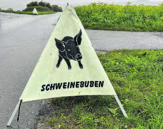Hinweis oder Vorwarnung? In Birrwil sind die mysteriösen Schweinebuben wieder unterwegs. (Bild: dr.)