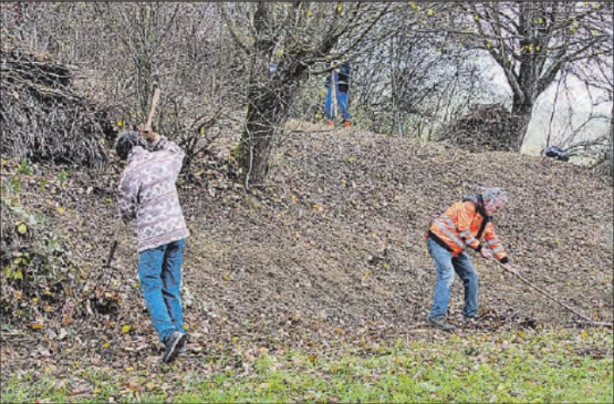 Arbeitseinsatz des Natur- und Vogelschutzvereins Reinach: Am Fusse des Hombergs galt es aufzuräumen. Im nächsten Frühling werden die Arbeiten fortgesetzt, um die Biodiversität zurückzuholen. (Bilder: zVg.)