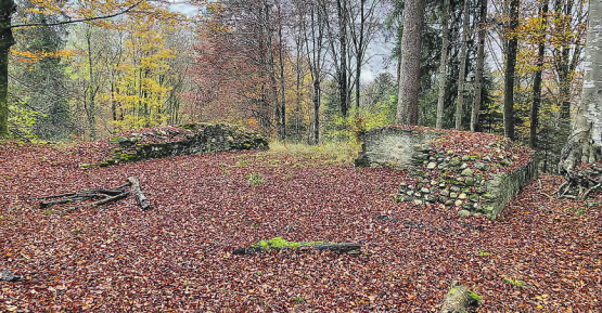 Das Waldstück mit den Überresten der Burgruine Alt Rued gehört nun der Einwohnergemeinde Schlossrued. (Bild: zVg.)