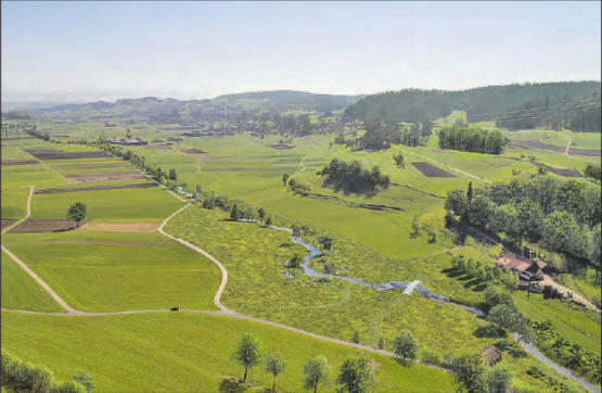 Visualisierung des revitalisierten Suhrelaufes: «Das Suhrental wird danach nicht mehr so aussehen wie heute und wird zum Naherholungsgebiet». (Bild: zVg.)