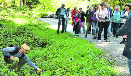 Pfanzenfülle auch an Bachläufen: Eine interessierte Schar verfolgte die Ausführungen des «Kräutermannes» Daniel Knecht. (Bilder: st.)