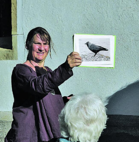 In Vertretung aller Vögel dieser Erde: Monika Widmer versetzte sich vor dem dohlenumschwärmten Kirchturm in das Leben dieser einzigartigen Tiere. (Bilder: st.)