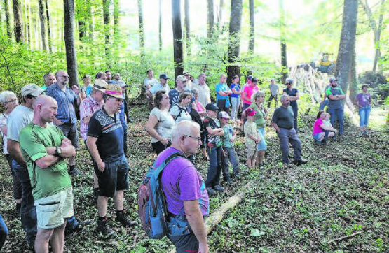 Interessierte Zuhörer bei der Waldbereisung des Forstbetriebs aargauSüd. Im Hintergrund sind die gefällten, kranken Eschen zu erkennen. (Bilder: rc.)