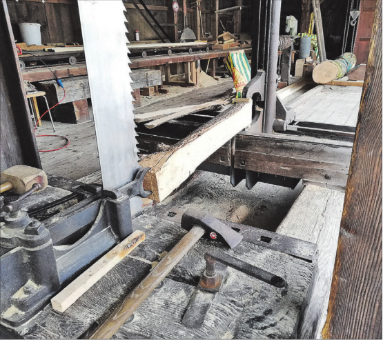 Die Sagi möchte auch 2026 viele Zuschauer begeistern. (Archivbild: Kari Stutz)