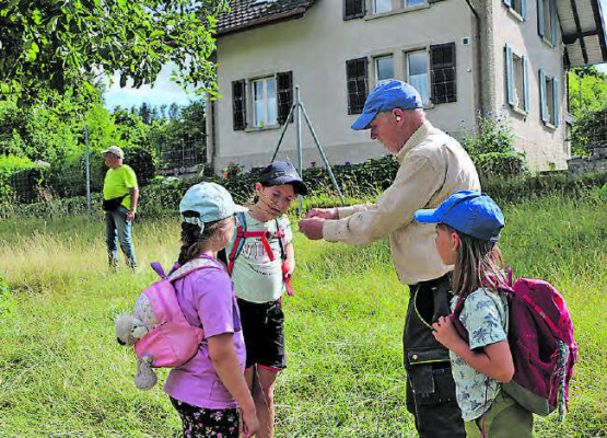 Hans Küchler zeigte den Kindern das übelriechende Unkraut «Wegwarte», welches auch die Damhirsche nicht essen und deshalb ausgerissen wird.
