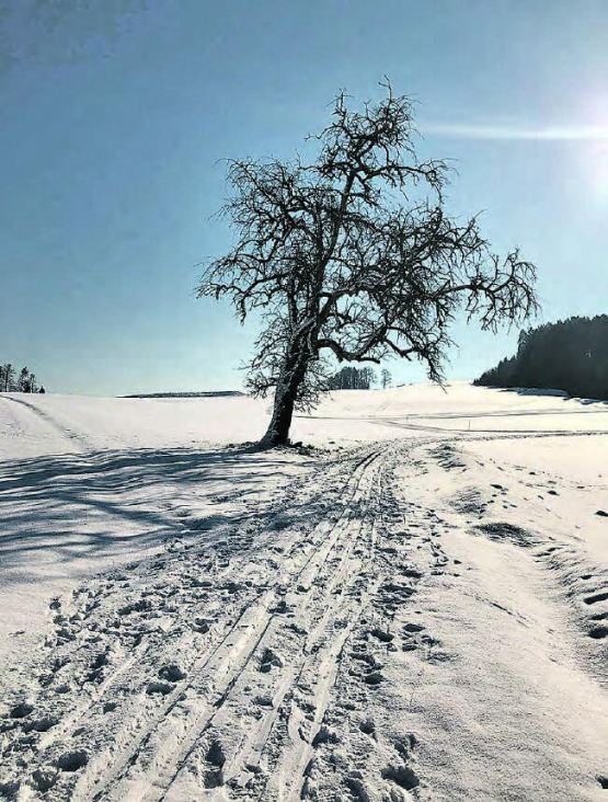 Wohin führt uns das Jahr 2021? Auf die Menschen warten viele Herausforderungen für das Jahr 2021 und darüber hinaus. (Bild: zVg.)