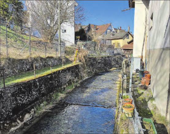 Der Zustand des Kanals war sanierungsbedürftig und die Wyna war für Fische nicht gut passierbar.