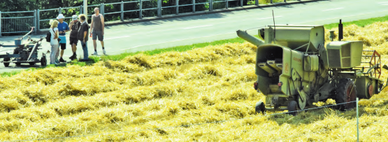 Für die jüngere Generation eine kleine Sensation: Zwei historische Maschinen zur Getreideernte standen einsatzbereit am Strassenrand bzw. im Feld. (Bilder: st.)