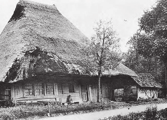 Im Frühjahr 1782 wütete eine Feuersbrunst in Dürrenäsch: 24 Häuser mit 47 Haushaltungen lagen danach in Schutt und Asche. Bild: Altes Bauernhaus mit Strohdach (nicht in Dürrenäsch) (Bild: zVg.)