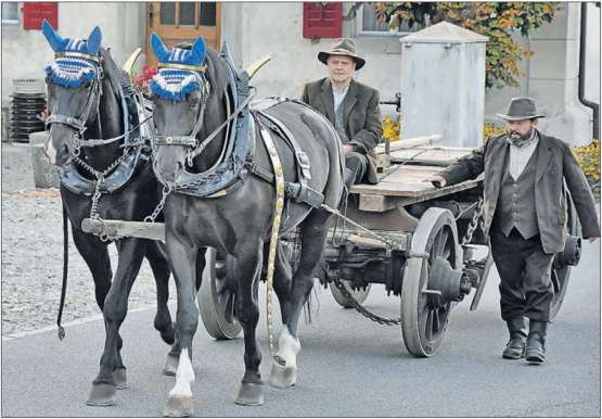 Die Moritzberger Ulan und Elk im Einsatz: Die Rösser zogen den Holzwagen zum Transport von Sandsteinblöcken in die Nähe des Sandsteinmuseums Staffelbach. (Bild: aw.)
