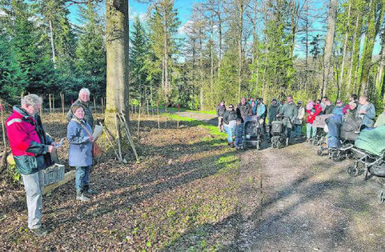 Begrüssen Eltern und Kinder zur traditionellen Baumpflanzaktion: Urs Gsell, Trudi Müller und Dieter Fierz. (Bilder: aw.)