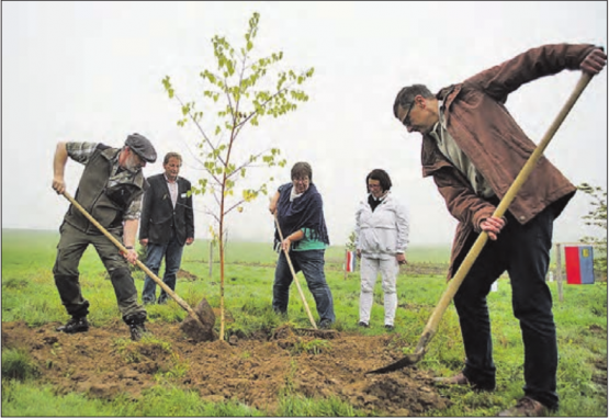 Setzen die «schönste Birke Europas»: Robi Suter, Wetz, Gabriella Jämsä, Tiina Räihä und Ulrich Suter, Initiant des Europawäldli (v.l.n.r.). (Bild: spo.)