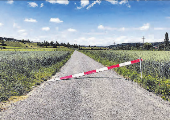 Absperrung ignoriert: Die eben erst sanierte Naturstrasse im Reinacher Moos ist gleichwohl unter die Pferdehufe gekommen. (Bild: msu.)