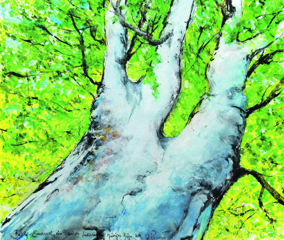 Buche Emanuel … im Müseigenwald am Seeweg Böju-Mosen Aquarell u Mt 50x60cm a Pa, 2024. Buche-Emanuel, ein starkes Individuum Gemäldebild und Text von Alberto Romer, Beinwil am See