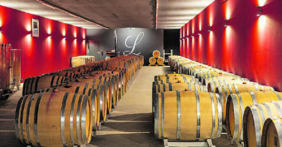 Grosses Fachwissen und viel Hingabe bescherten Thomas und Christina Lindenmann, Winzer aus Seengen, wie auch ihrem Team fünf Gold-Diplome bei der Prämierung durch den Branchenverband der Aargauer Weinproduzenten. (Bilder: dr./zVg.)