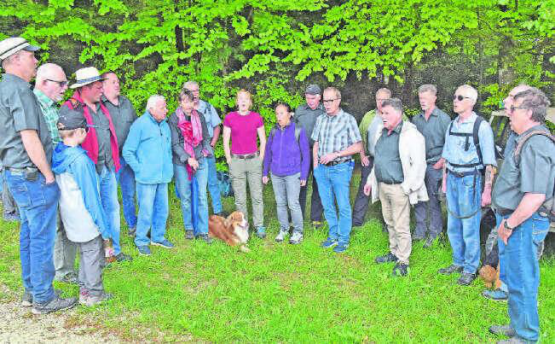 Am Waldrand von Wiliberg: Das Besondere an der Wanderung des Jodlerklubs Echo Reitnau ist gemeinsames Jutzen. (Bild: aw.)