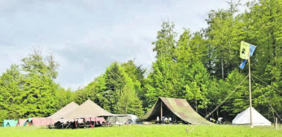 Das «Oberholz» in Staffelbach war Lagerplatz für Pfadfinder. (Bild: ran)
