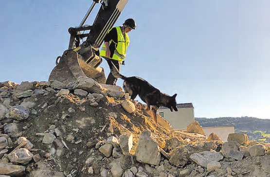 Rettungshunde im Einsatz: In den Trümmern des ehemaligen Restaurants Schützenhaus wurde nach «Verschütteten» gesucht.. (Bild: zVg.)