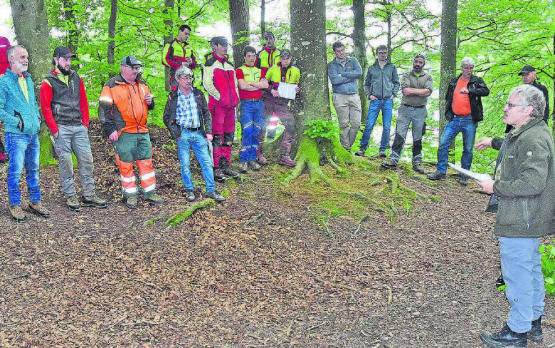 Posten mit vorzeigbaren Exemplaren: Kreisförster Erwin Städler vom Forstkreis 4 konzentriert sich auf vier invasive Arten.