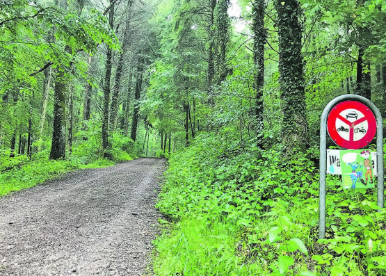 Forstbetrieb Wyna-Suhre? Beinahe die Hälfte der Fläche des geplanten Forstbetriebs oder ein Waldanteil von 751 Hektaren gehört heute der Ortsbürgergemeinde Gränichen. (Bild: A.W.)