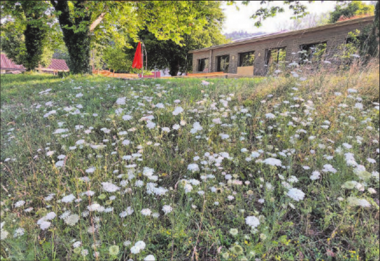 Ein Blick in den (sommerlichen) Park der Stiftung Schürmatt in Zetzwil: Hier fühlen sich Menschen, Pflanzen, und Tierchen wohl. (Bild: zVg.)
