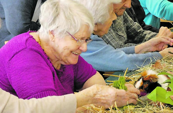 Mit vielen «Jööö»-Effekten: Die Meerschweinchen konnten bei ihrem Namen gerufen werden. (Bilder: zVg.)