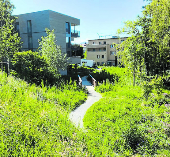 Siedlung mit einem ökologisch aufgewerteten Aussenraum für Anwohnende. (Bild: zVg.)